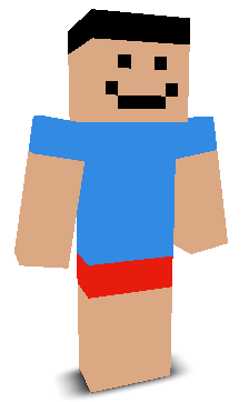 User's Minecraft appearance