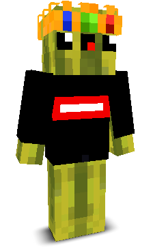 User's Minecraft appearance