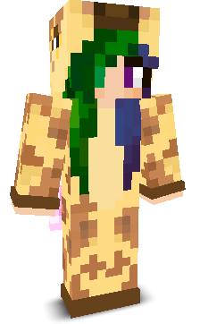 User's Minecraft appearance