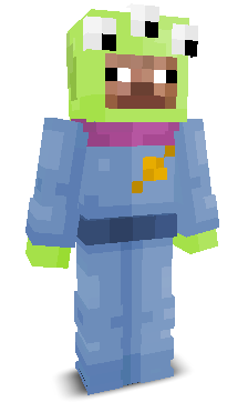 User's Minecraft appearance