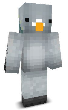 User's Minecraft appearance