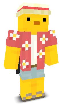 User's Minecraft appearance