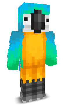 User's Minecraft appearance