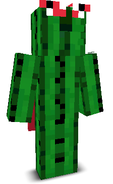 User's Minecraft appearance