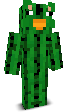 User's Minecraft appearance
