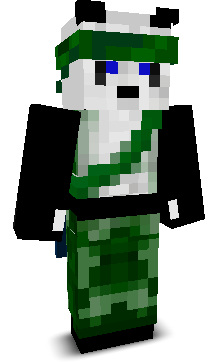 User's Minecraft appearance