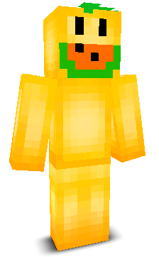 User's Minecraft appearance