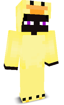 User's Minecraft appearance
