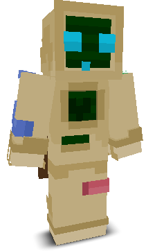 User's Minecraft appearance