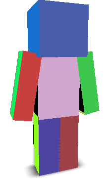 User's Minecraft appearance
