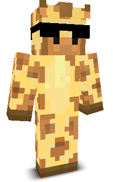 User's Minecraft appearance