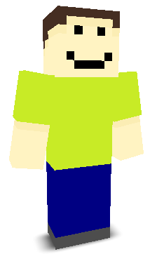 User's Minecraft appearance