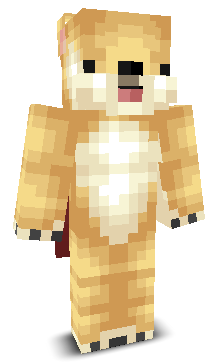 User's Minecraft appearance