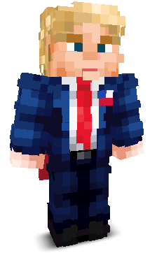 User's Minecraft appearance
