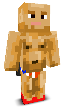 User's Minecraft appearance