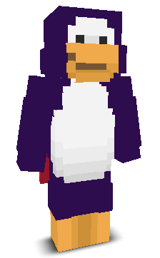 User's Minecraft appearance
