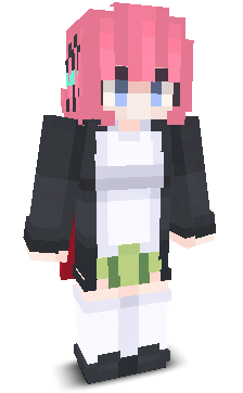 User's Minecraft appearance