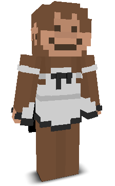 User's Minecraft appearance