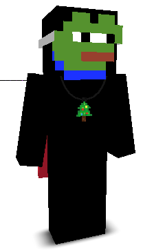 User's Minecraft appearance