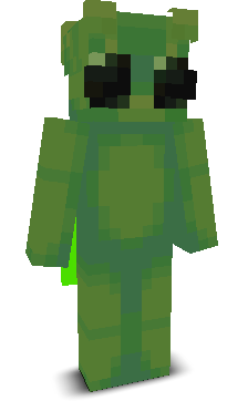 User's Minecraft appearance