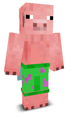 User's Minecraft appearance