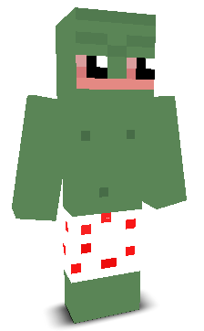 User's Minecraft appearance