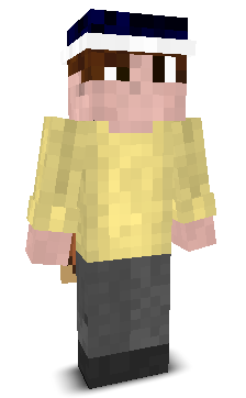 User's Minecraft appearance