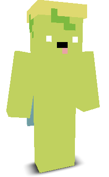 User's Minecraft appearance