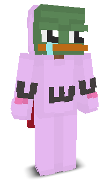 User's Minecraft appearance