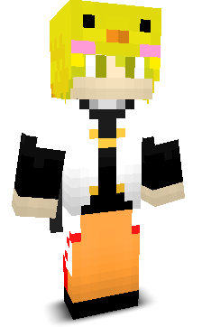 User's Minecraft appearance