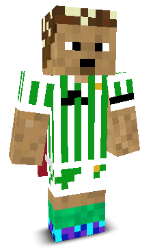 User's Minecraft appearance