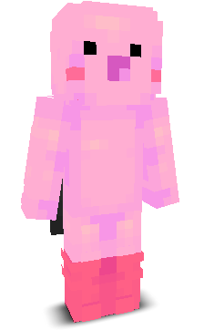 User's Minecraft appearance