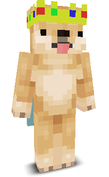 User's Minecraft appearance