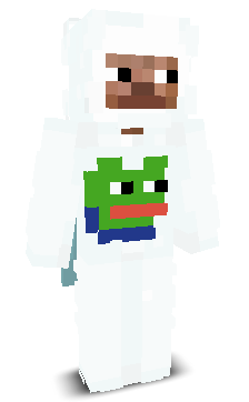 User's Minecraft appearance