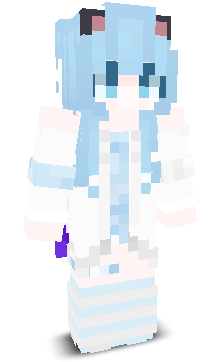 User's Minecraft appearance