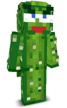 User's Minecraft appearance