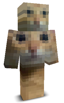 User's Minecraft appearance