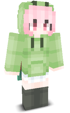 User's Minecraft appearance