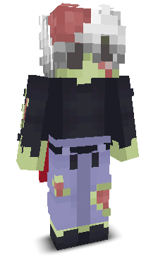 User's Minecraft appearance