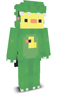 User's Minecraft appearance