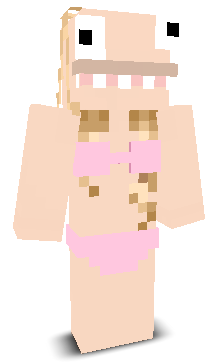 User's Minecraft appearance