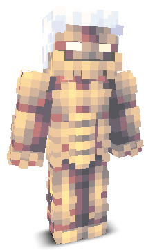 User's Minecraft appearance
