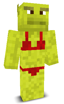 User's Minecraft appearance