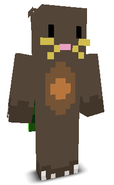 User's Minecraft appearance