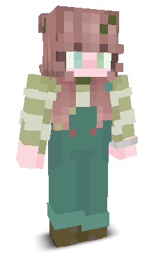 User's Minecraft appearance