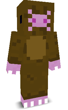 User's Minecraft appearance