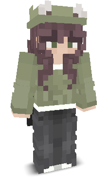 User's Minecraft appearance