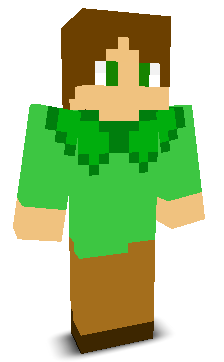 User's Minecraft appearance