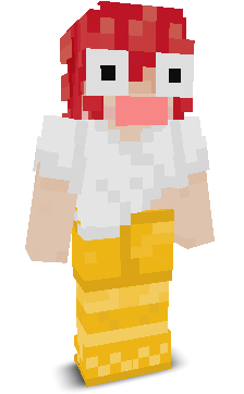 User's Minecraft appearance