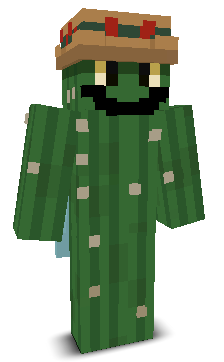 User's Minecraft appearance